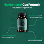 Probiotics For Weight Management & Digestive Health, 3 In 1 Gut Health Probiotics And Prebiotics/Postbiotics, Slow Release Synbiotic Probiotic