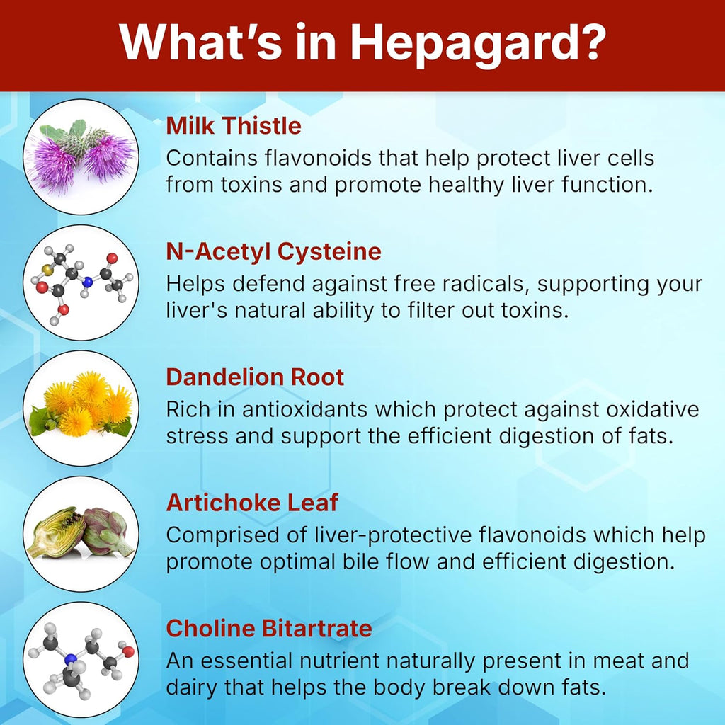 Hepagard - Natural Liver Support Supplement - 30 capsules