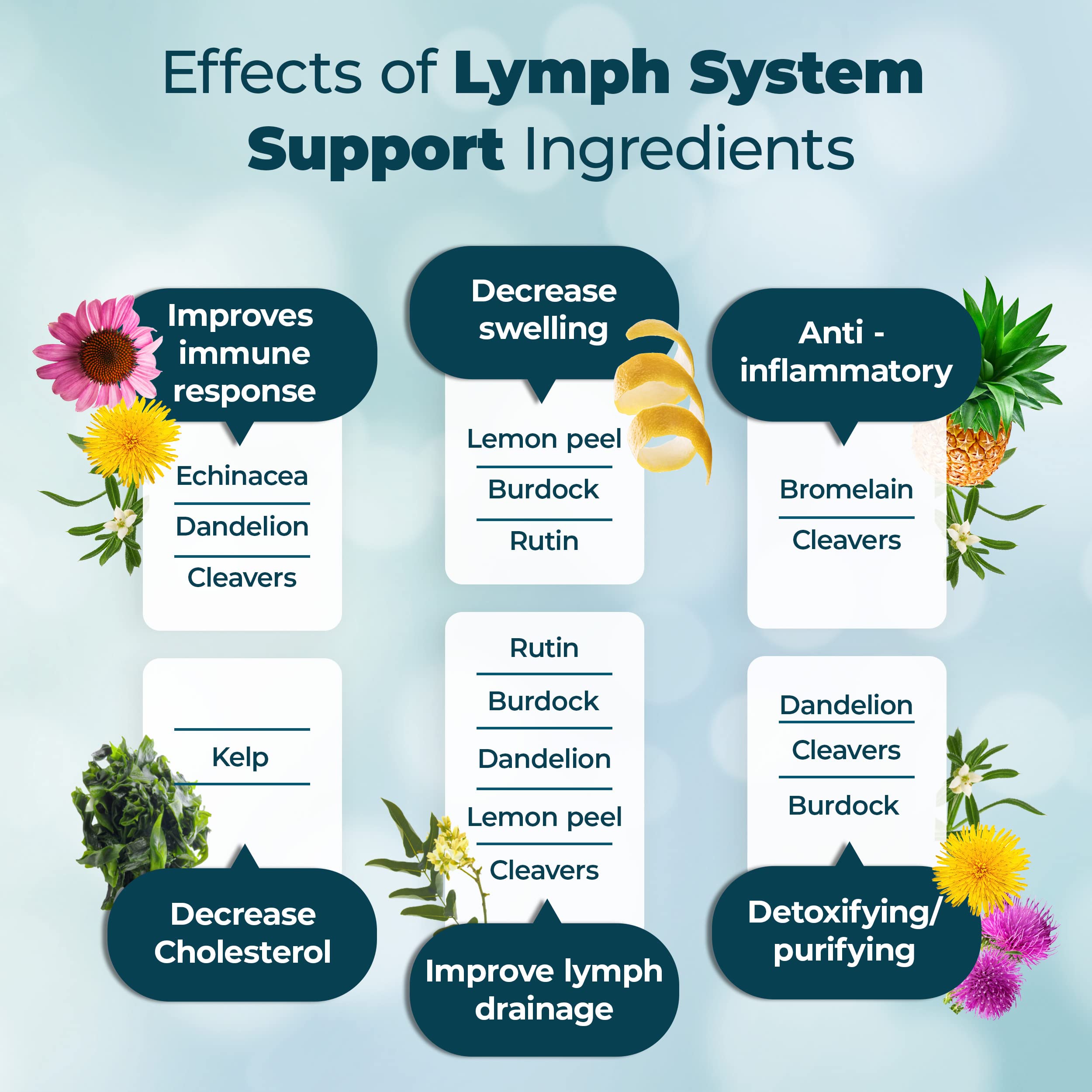 PUREHEALTH RESEARCH Lymph System Support Supplement - Lymphatic Drainage Supplement with Dandelion Extract, Cleavers, Burdock Powder - Reduce Swelling and Cleanse Lymph - 1 Bottle