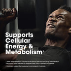 Men’s Daily Multivitamin with Amino Acids & Immune Support –  Optimum Nutrition Opti-Men